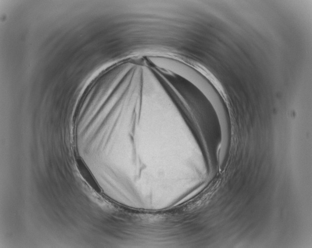 X0000086000996200704201827