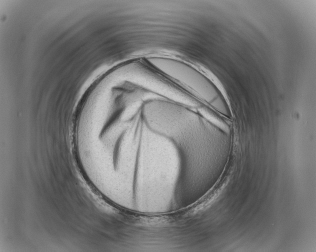 X0000086000997200704201827