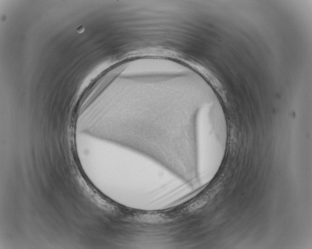 X0000086000998200704201827