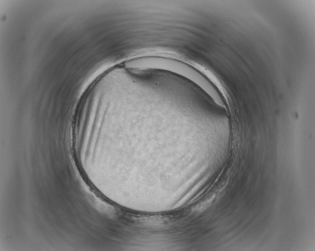 X0000086000999200704201827