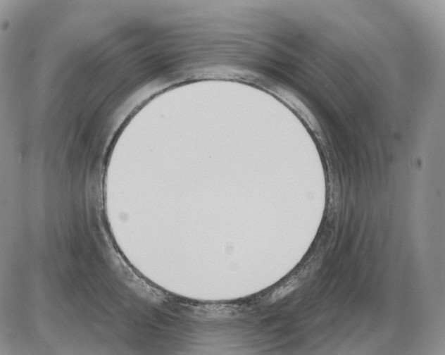 X0000086001000200704201827