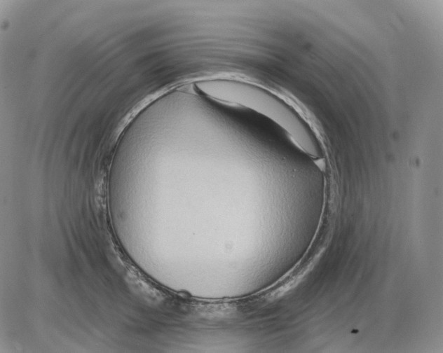 X0000086001001200704201827