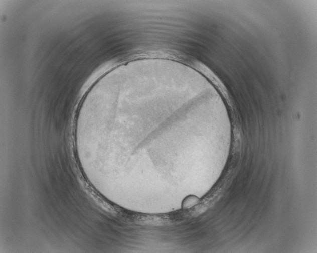 X0000086001002200704201827