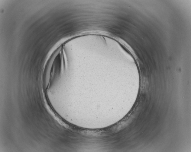 X0000086001005200704201827