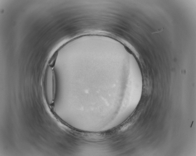 X0000086001007200704201827