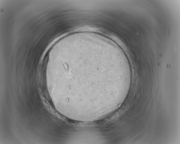 X0000086001008200704201827