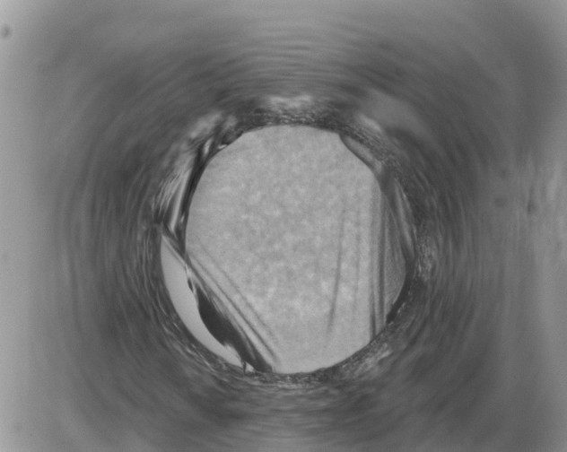 X0000086001010200704201826