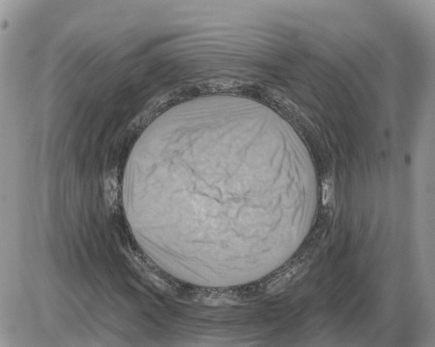 X0000086001011200704201826