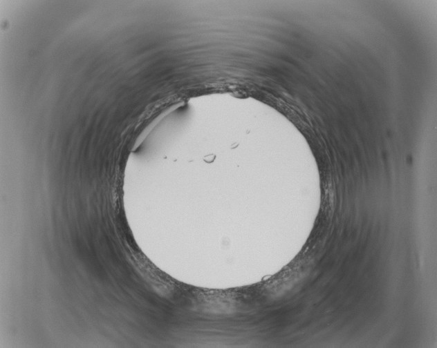 X0000086001012200704201826