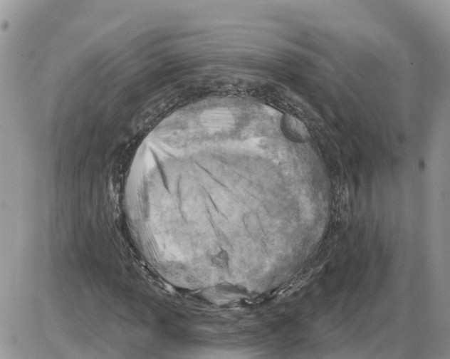 X0000086001013200704201826