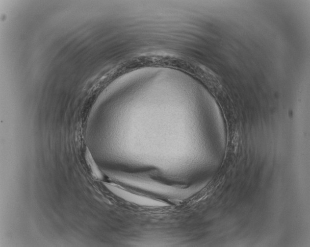 X0000086001014200704201826