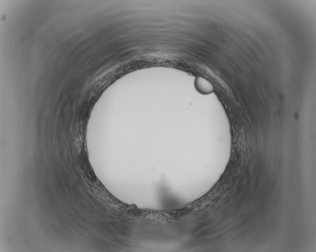 X0000086001015200704201826