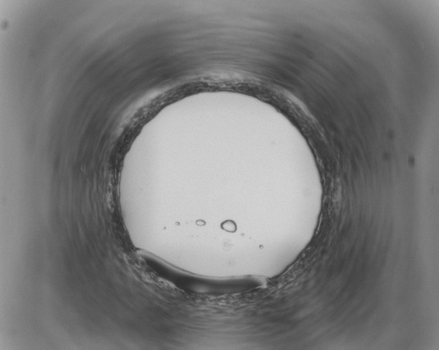 X0000086001016200704201826