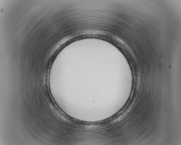 X0000086001017200704201826