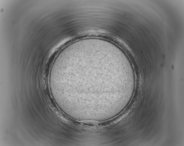 X0000086001018200704201826