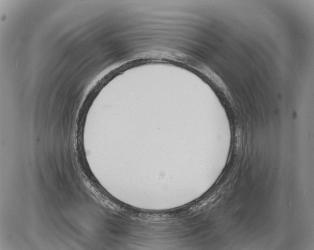 X0000086001020200704201826