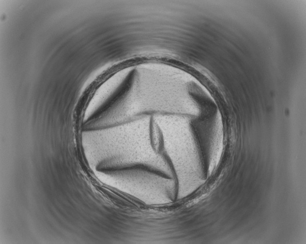 X0000086001022200704201826