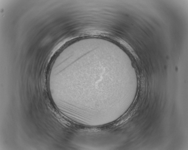 X0000086001023200704201826