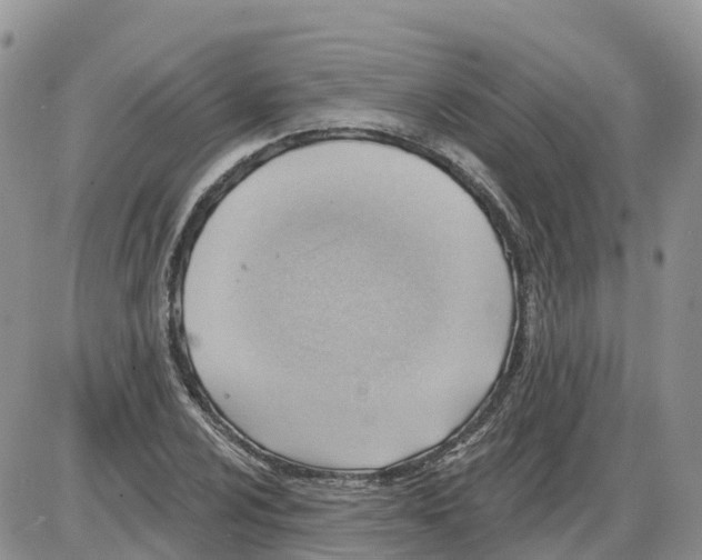 X0000086001024200704201826