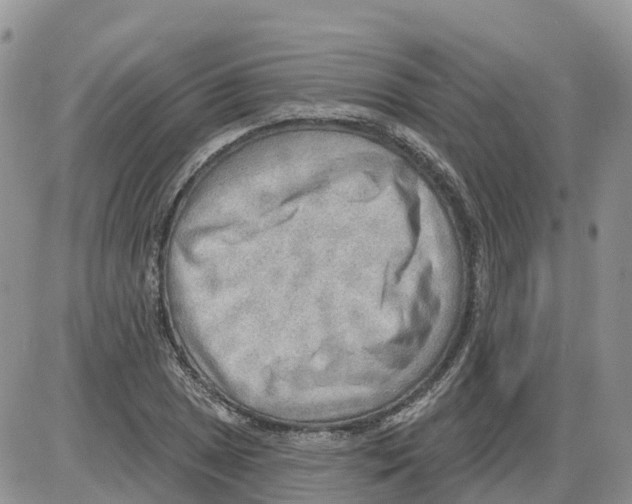 X0000086001025200704201826