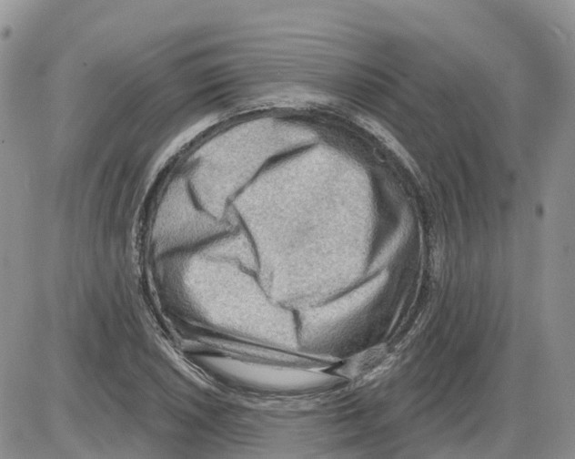 X0000086001026200704201826