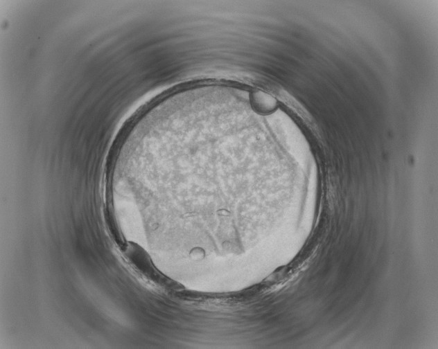 X0000086001028200704201826