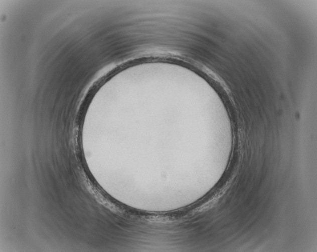 X0000086001029200704201826