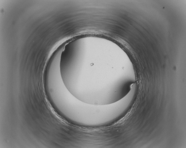 X0000086001030200704201826