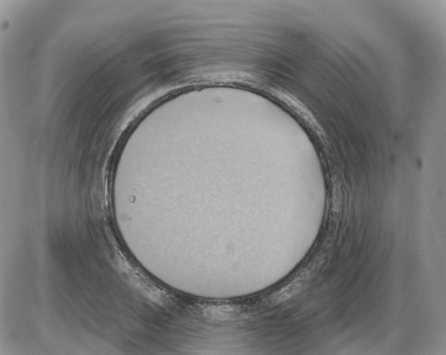 X0000086001031200704201826