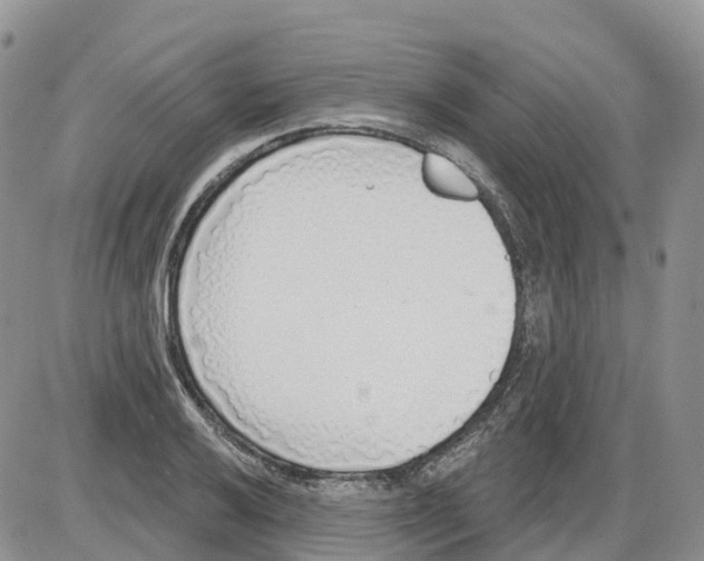 X0000086001032200704201826