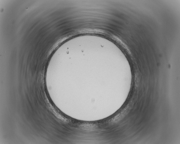 X0000086001033200704201826