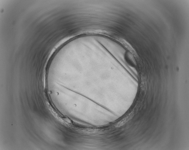 X0000086001036200704201826