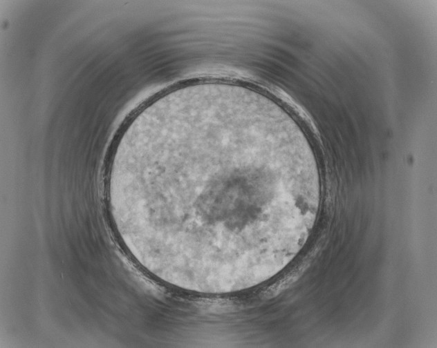 X0000086001037200704201826