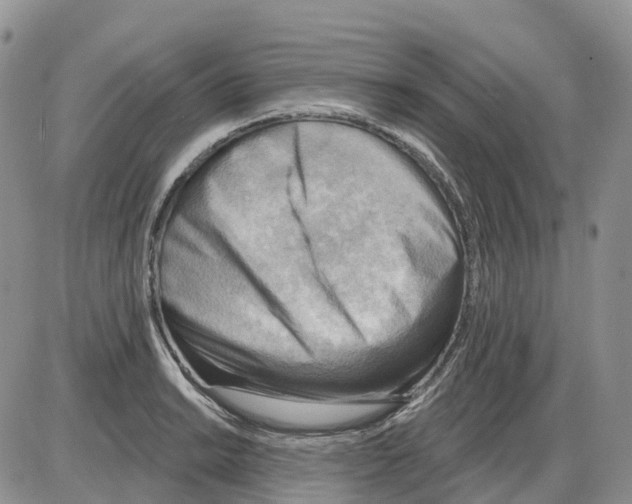 X0000086001038200704201826