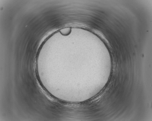 X0000086001040200704201826