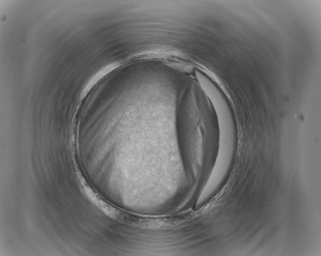 X0000086001042200704201826