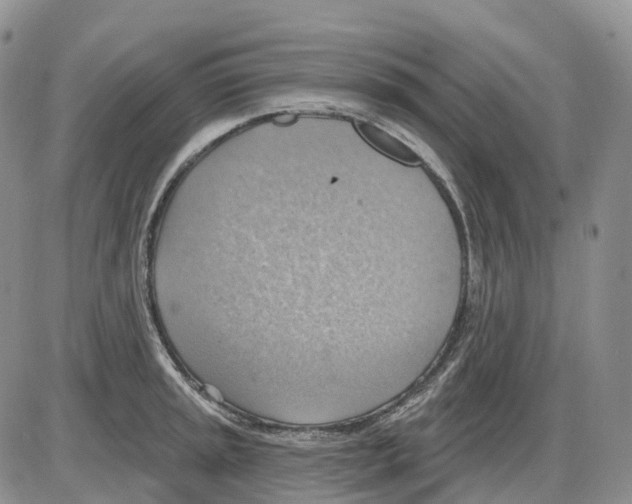 X0000086001045200704201826