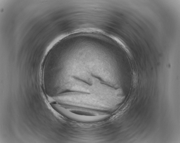 X0000086001046200704201826