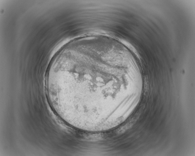 X0000086001047200704201826