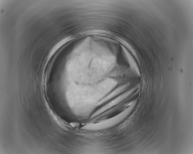 X0000086001050200704201826