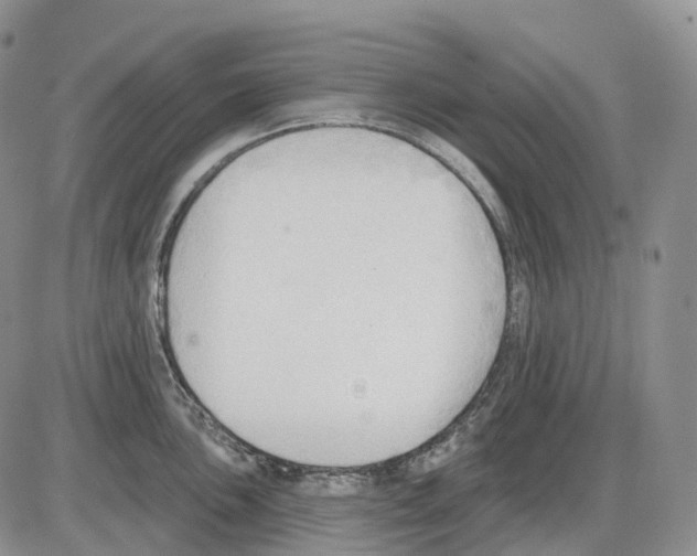 X0000086001051200704201826