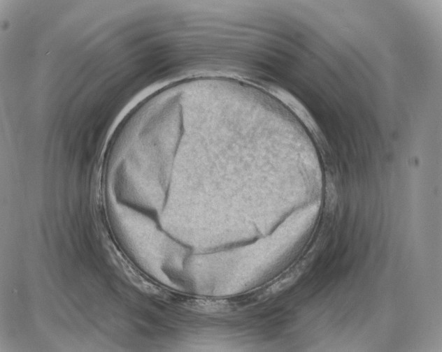 X0000086001052200704201826