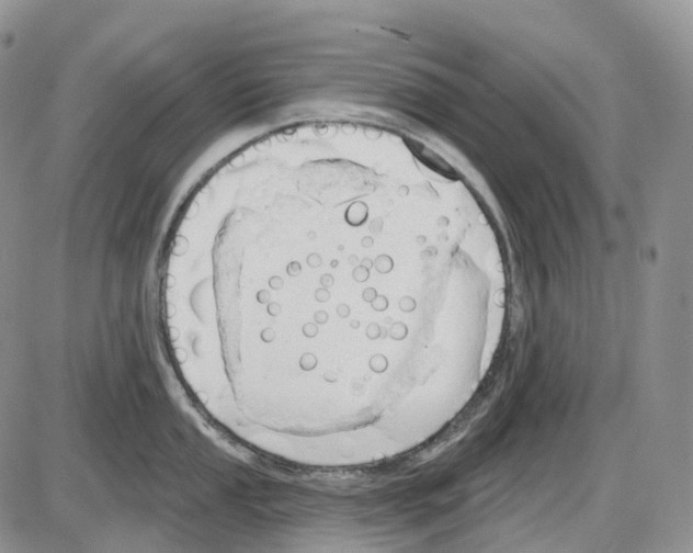 X0000086001053200704201826