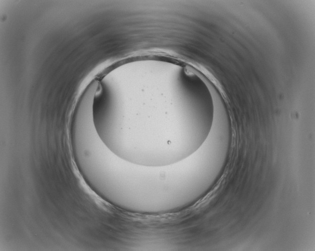 X0000086001054200704201826