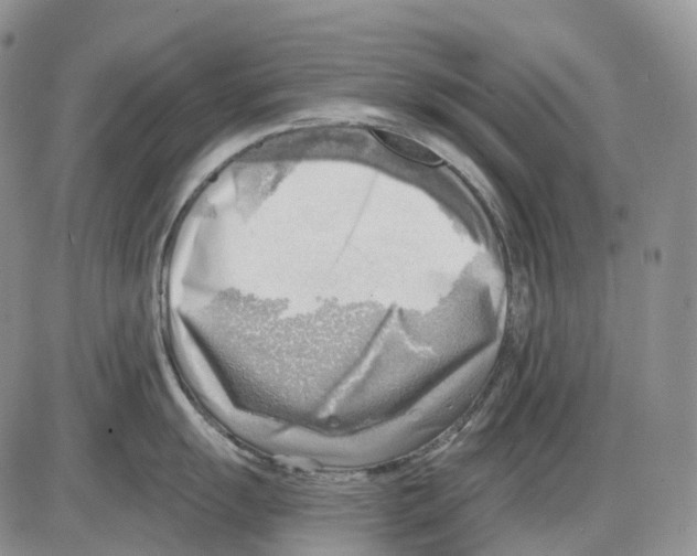 X0000086001055200704201826