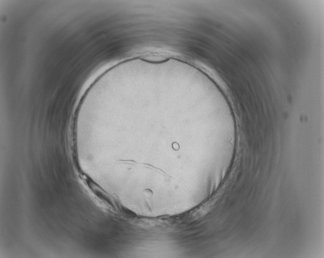 X0000086001056200704201826