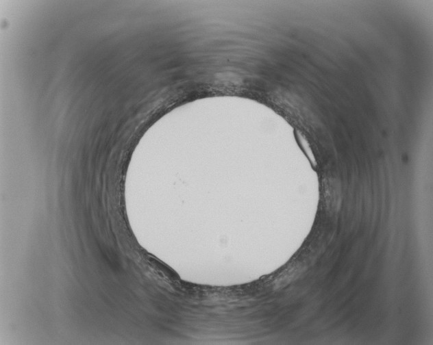 X0000086001057200704201826