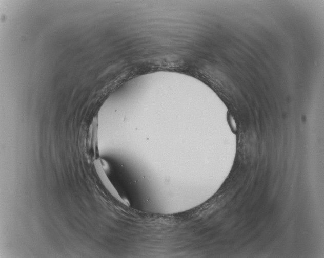 X0000086001058200704201826