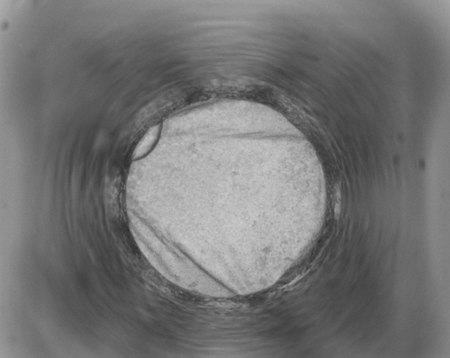 X0000086001059200704201826