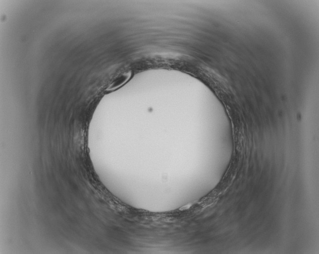 X0000086001061200704201826